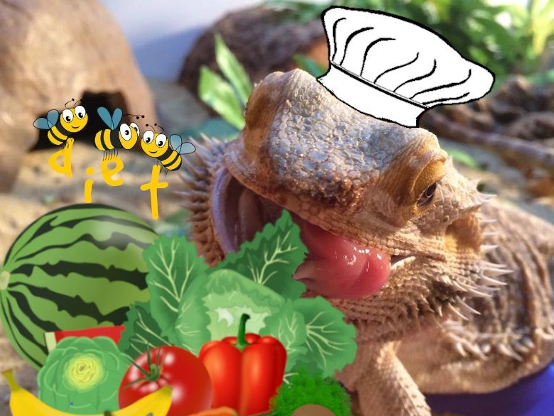 bearded dragon diet