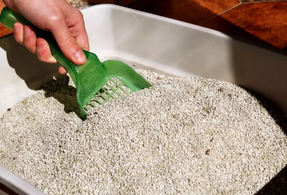 veterinarian recommended cat litter veterinarian recommended cat litter