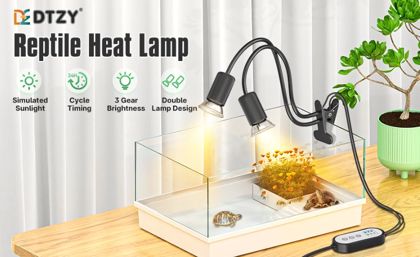 reptile heating setup