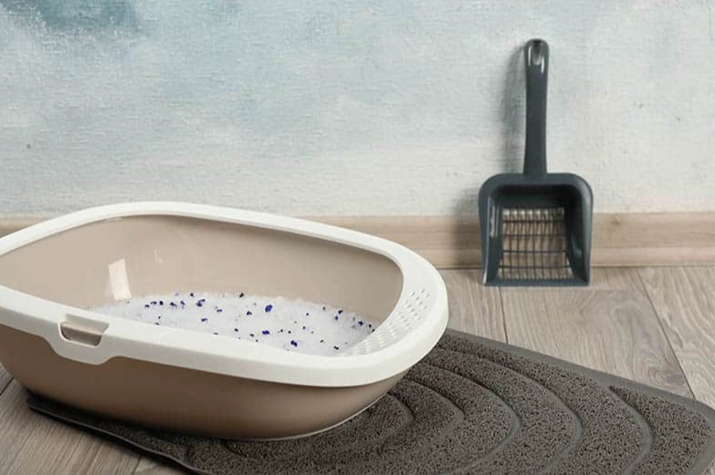 clumping clay litter problems