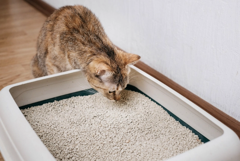 clumping vs non-clumping litter