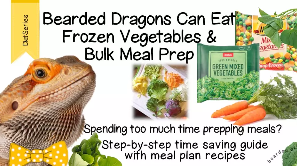 bearded dragon diet