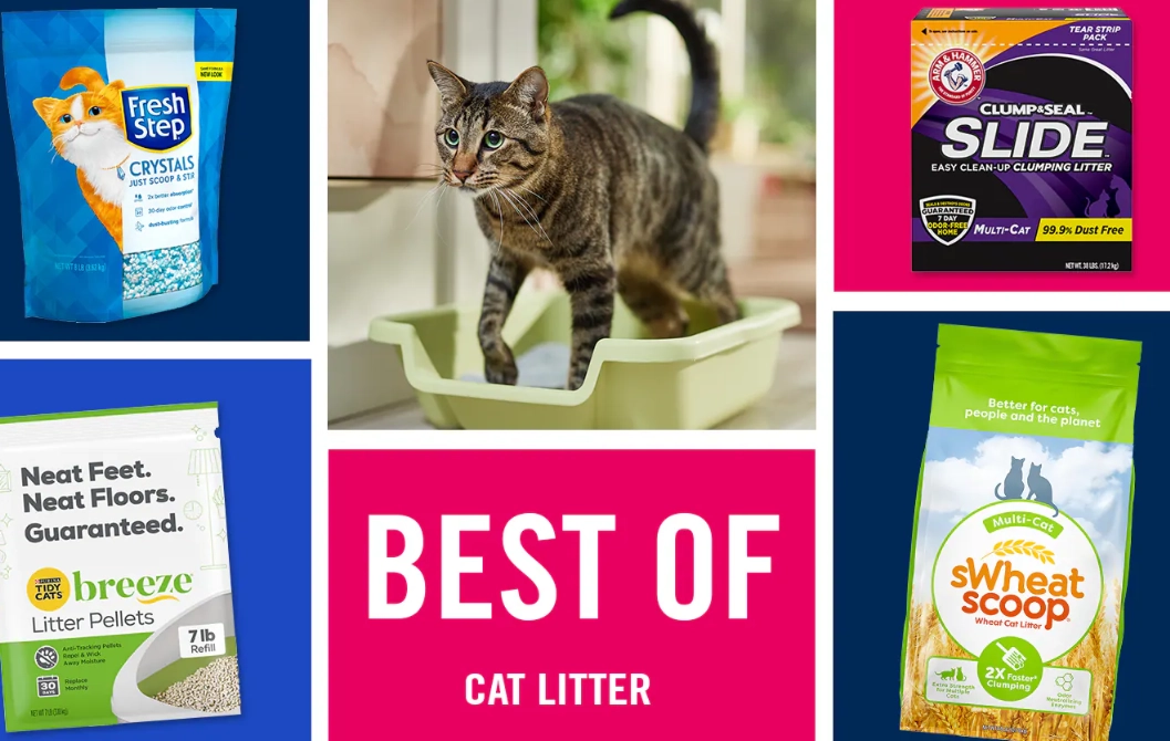 clumping cat litter for indoor cats