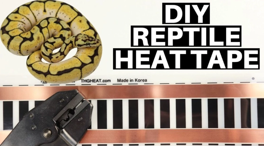 DIY reptile heating