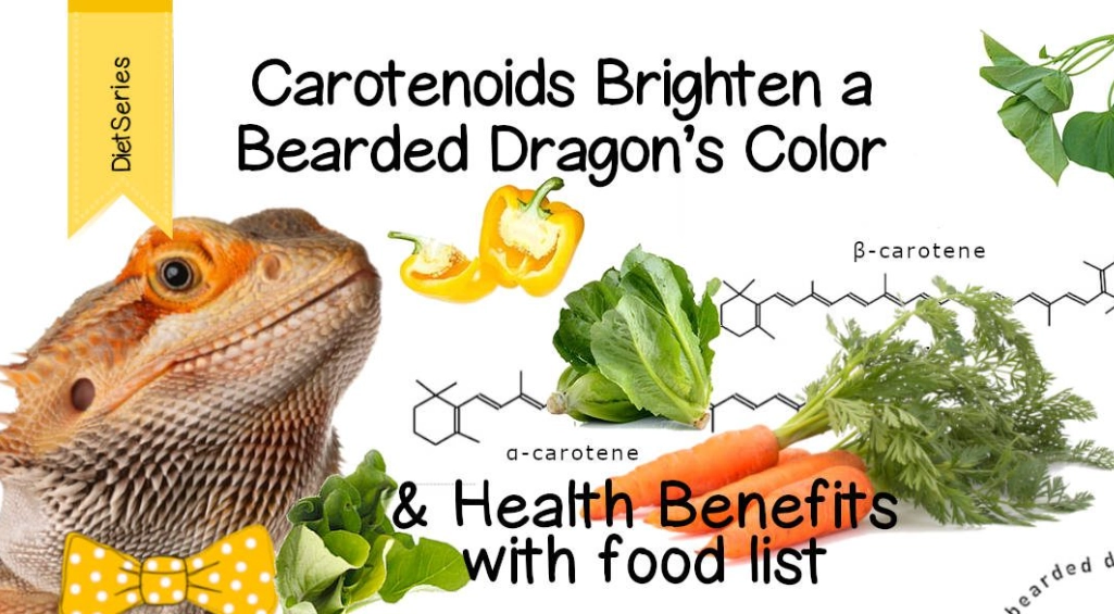 dangerous foods for bearded dragons