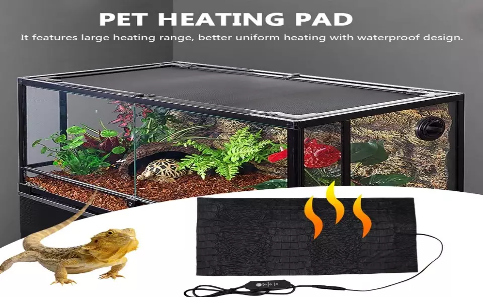 best reptile heating lamp