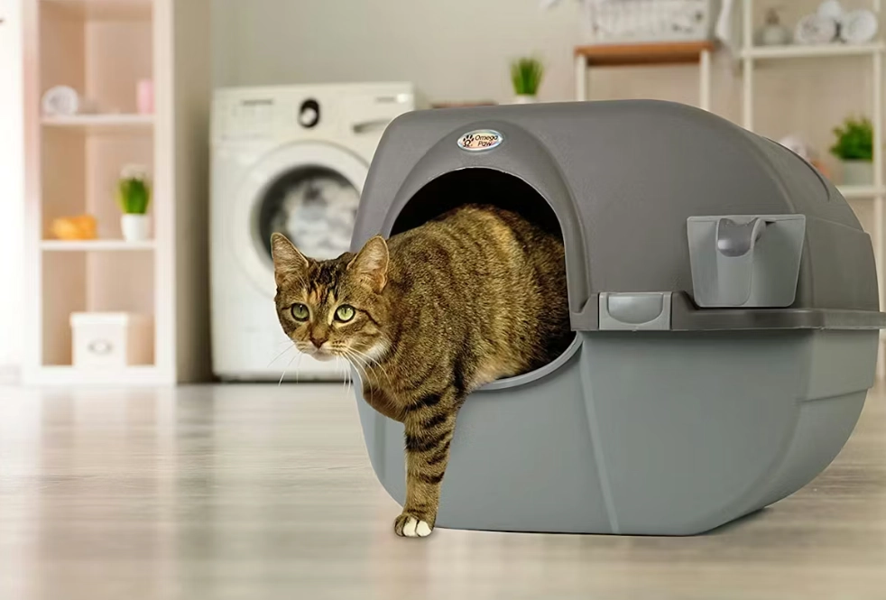 odor control cat litter