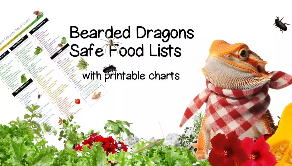 What are 5 toxic foods for bearded dragons?