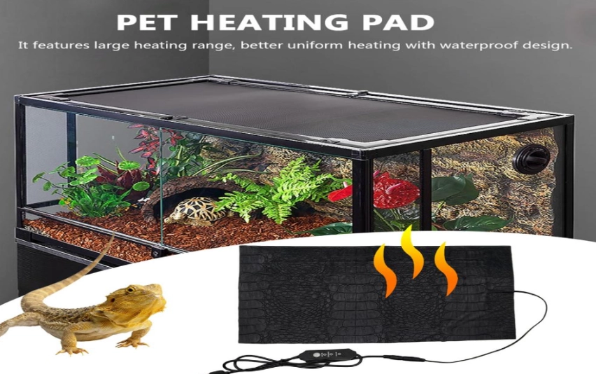 reptile heating guide