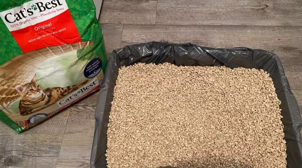 indoor cat litter reviews