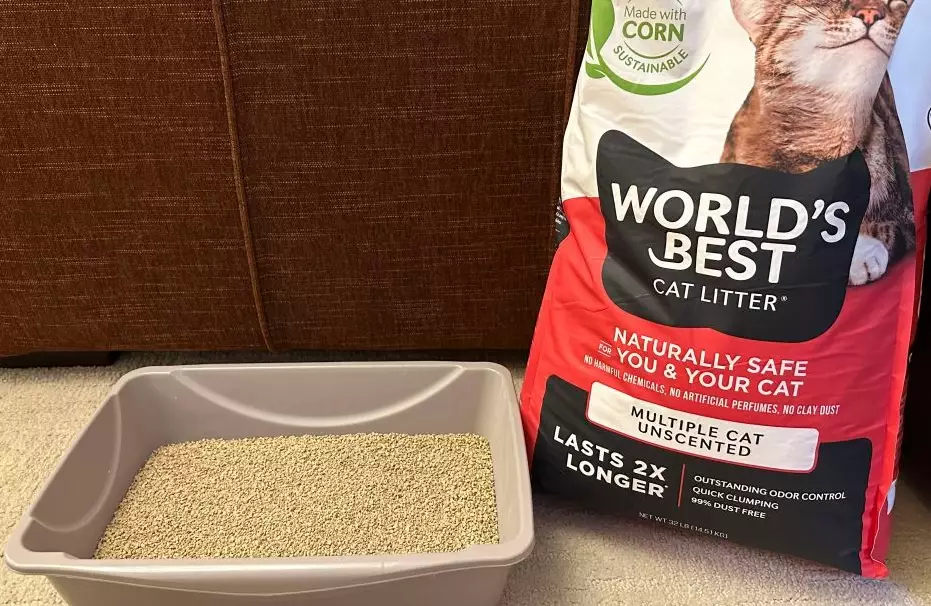 What type of litter is the best for cats?