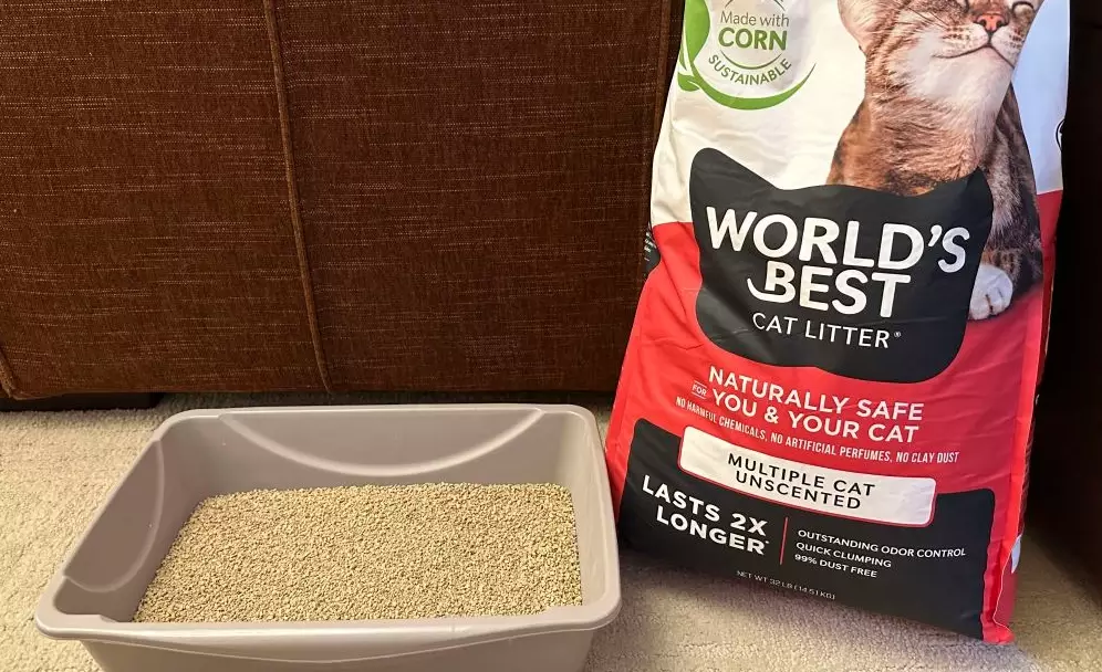 best cat litter