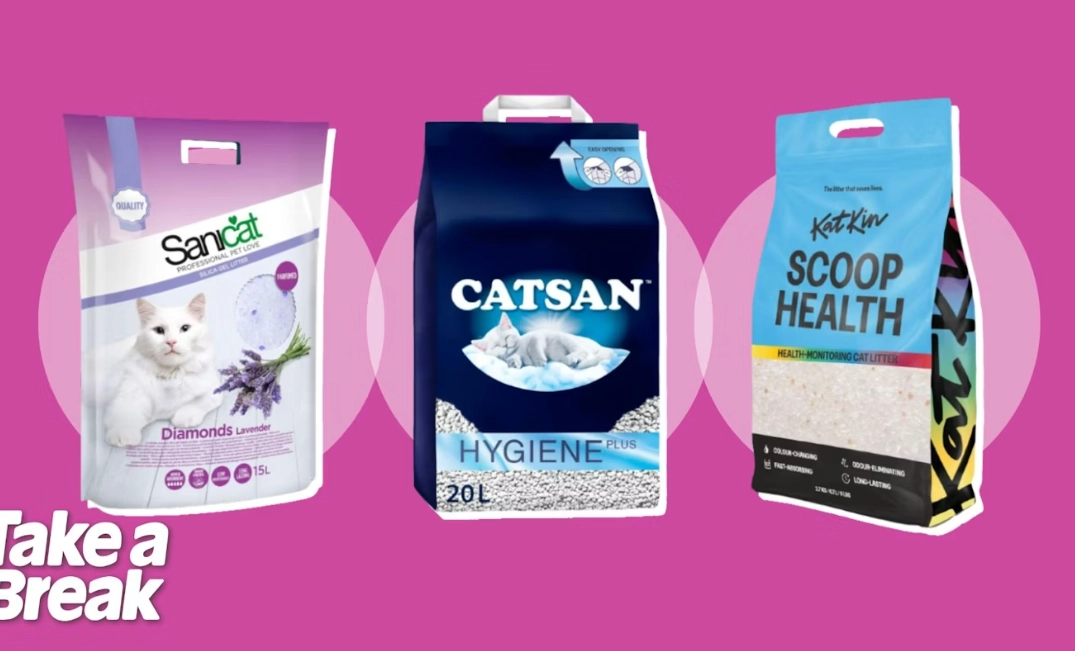 best cat litter for indoor cats