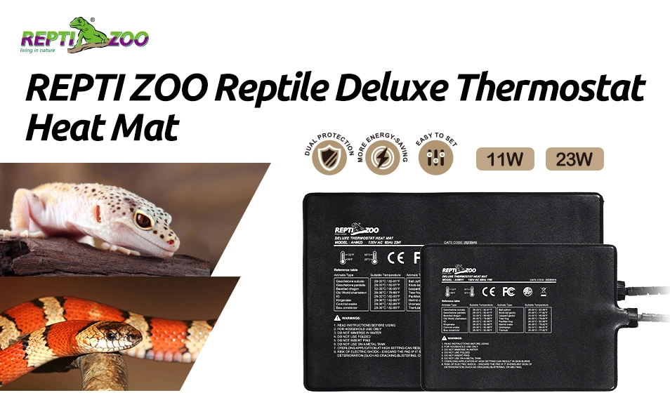 reptile heating setup