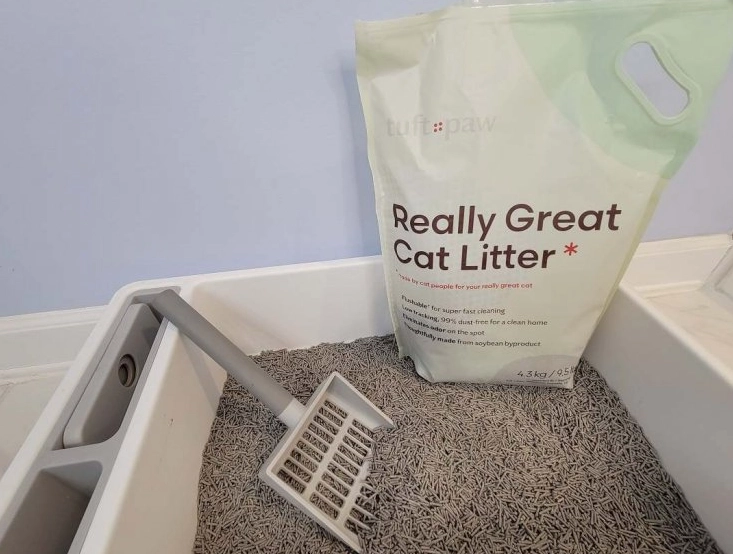 best cat litter for health
