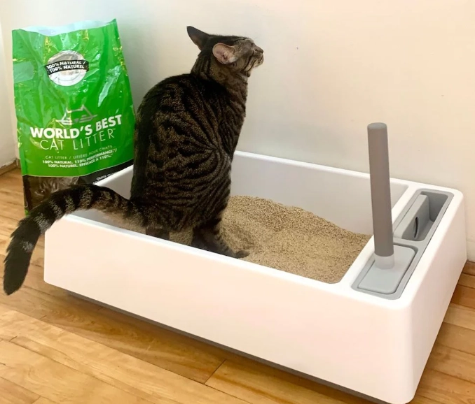 non toxic cat litter