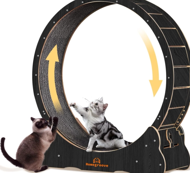 cat exercise ideas cat exercise ideas