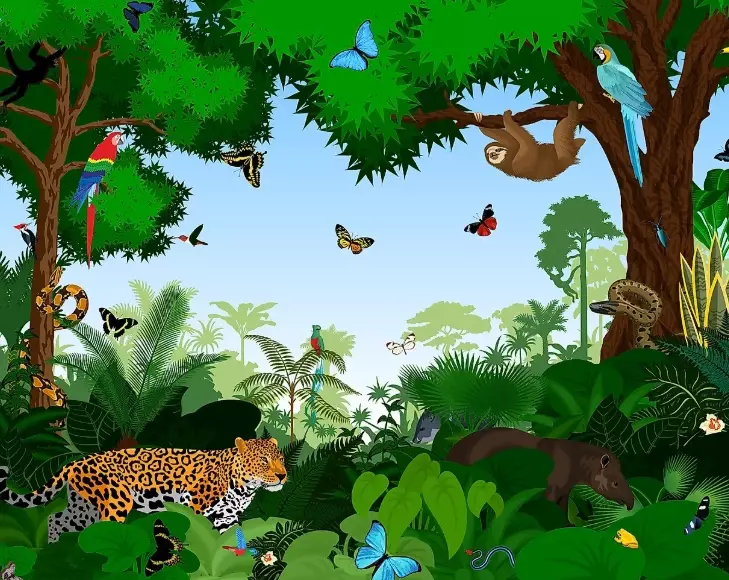 habitat requirements habitat requirements