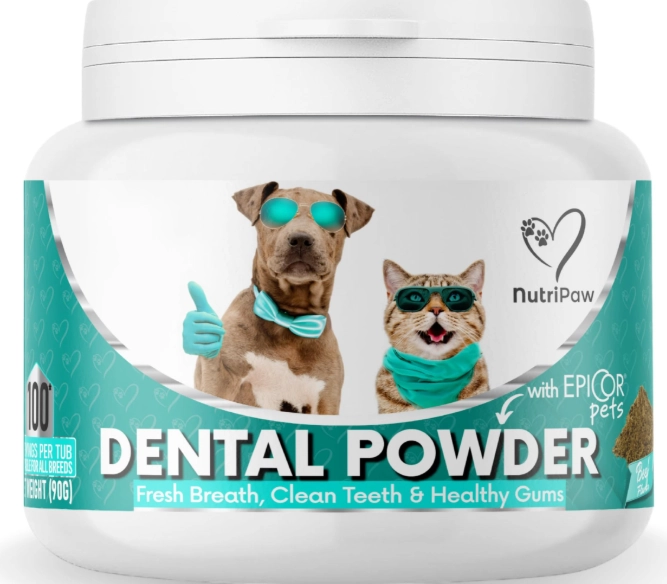 how to use cat dental powder how to use cat dental powder