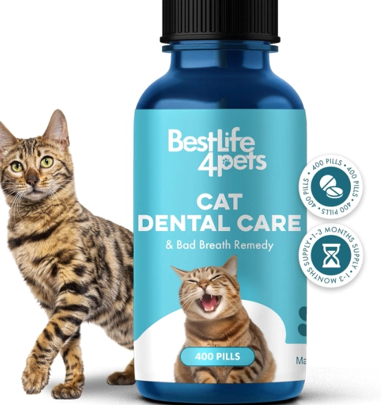 how to clean cat teeth how to clean cat teeth