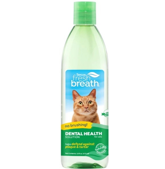 cat water additive for teeth cat water additive for teeth